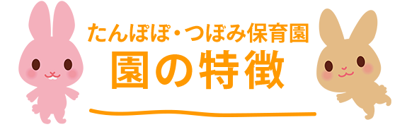 たんぽぽ・つぼみ保育園　園の概要